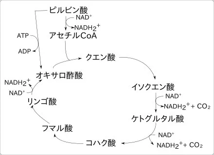 kuensan2