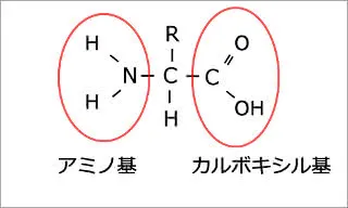 aminosan