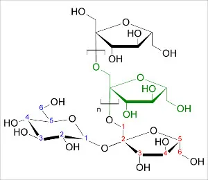578px-Inulin_strukturformel