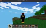 minecraft_reborn_change_skin