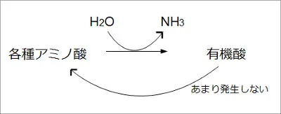 amino_acid_2